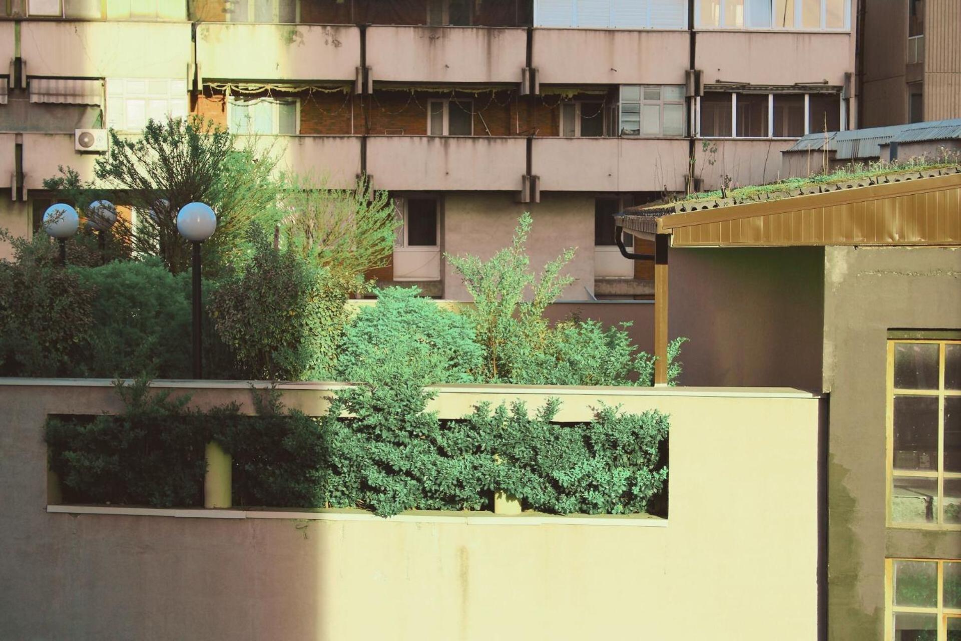 Sunny Center Apartment Skopje Exteriör bild